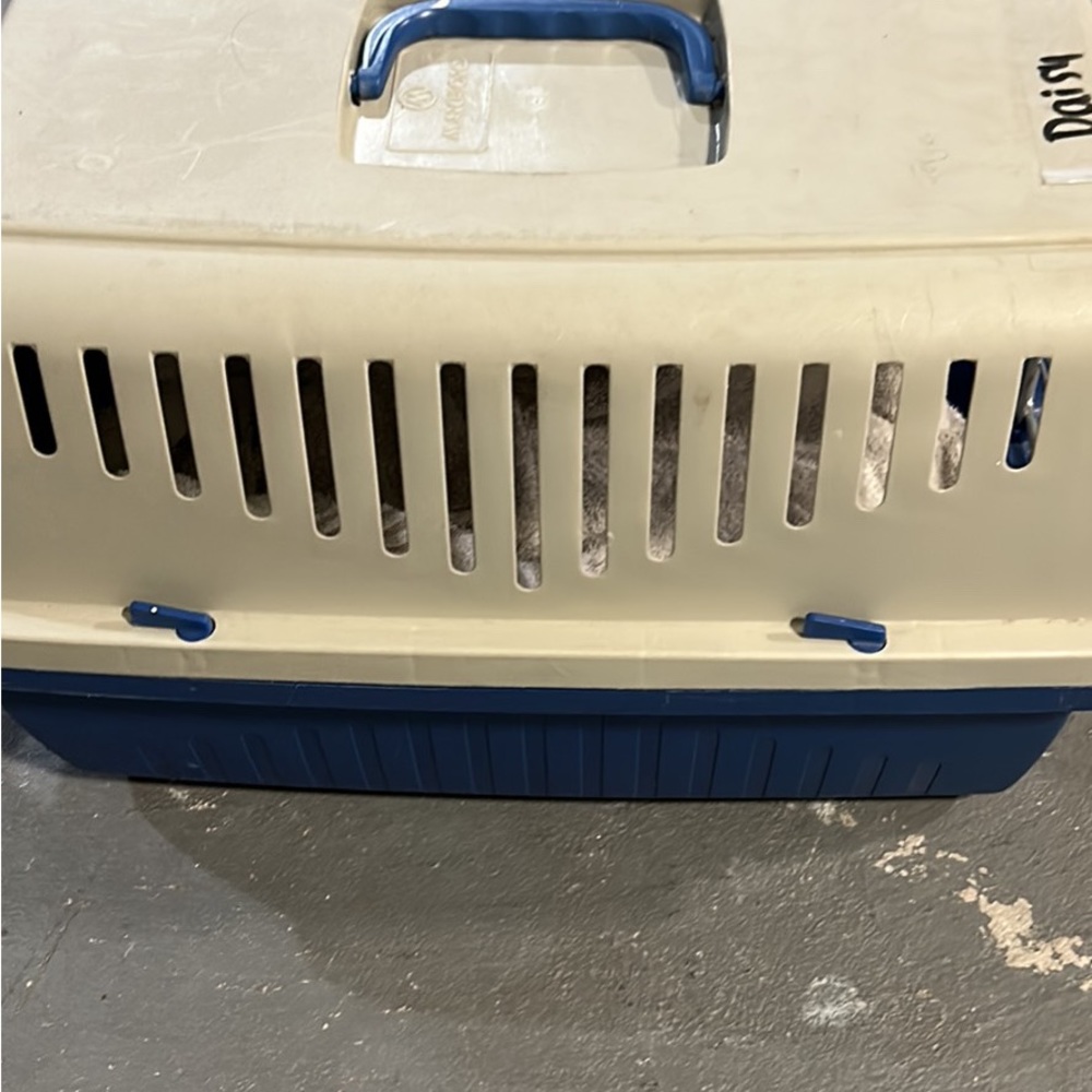 Cat crate